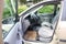 2001 Ford Focus LX