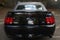 2003 Ford Mustang GT Premium 86K miles