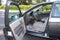 2010 Ford Focus SE