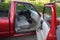 1997 Ford Ranger XL
