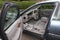 2002 Buick Park Avenue Base
