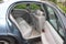 2002 Buick Park Avenue Base