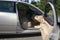2008 Buick Lucerne CXL