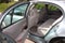 2003 Buick LeSabre Custom