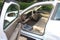 2005 Buick LeSabre Limited