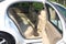 2005 Buick LeSabre Limited