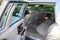 1991 Cadillac Brougham Base