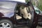 2010 Chevrolet Traverse LTZ