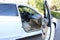 2008 Honda Accord Sdn EX