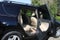 2010 Toyota RAV4 Base
