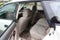 2002 Subaru Legacy Wagon Outback w/All Weather Pkg