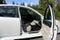 2010 Subaru Legacy 2.5i