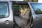 1999 Toyota Sienna CE