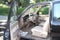 1998 Toyota Tacoma Base