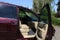 2010 Honda Odyssey EX-L