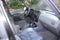 1997 Toyota RAV4 Base 128K MILES 4X4, 5 SPEED