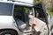 2004 Toyota Highlander Limited