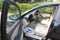 2007 Hyundai Elantra GLS